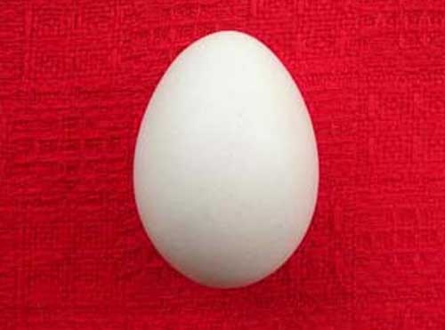 Яйцо как символ - фото