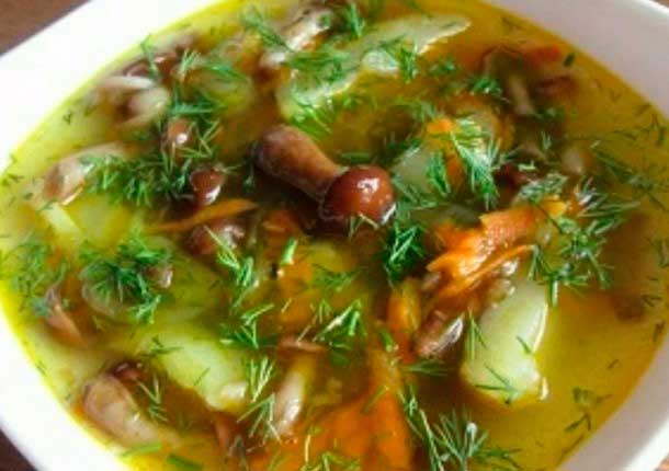 Рецепт грибного супа с опятами