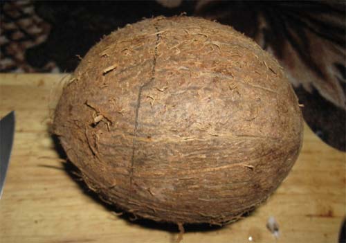 Как расколоть кокосовый орех? - фото