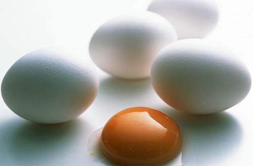 Немного истории: блюда из яиц. с фото