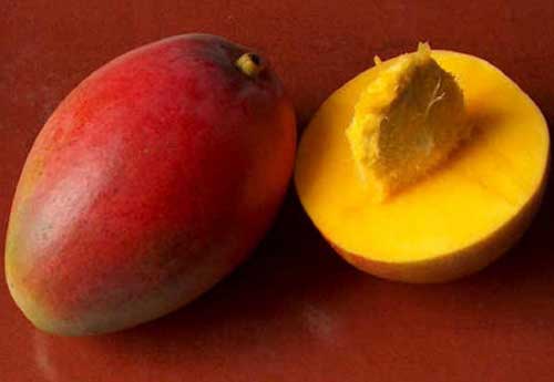 О манго – чудо тропиков с фото