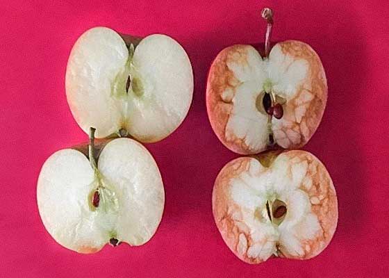 Учим детей не обзываться на яблоках