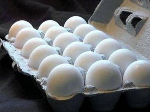 Покупаем, храним и используем яйца. Как все сделать правильно? - фото
