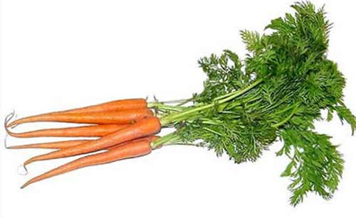 О химическом составе моркови - фото