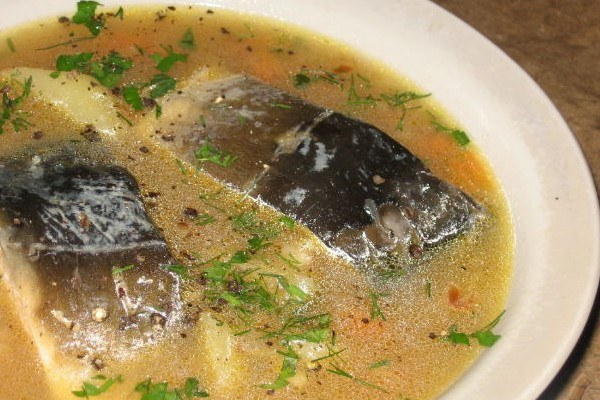 Суп из речной рыбы