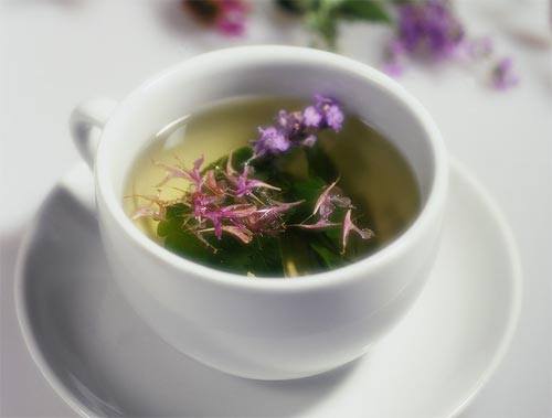Травяные чаи с фото