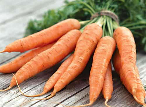 Влияние моркови на организм человека. - фото