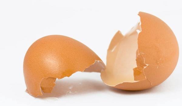 Помогает ли сырое яйцо от похмелья