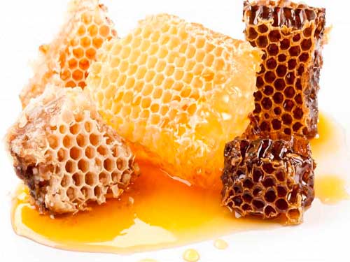 Пчелиный мед - фото